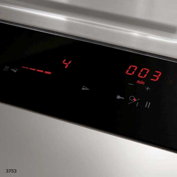 Novy Domino Induktion