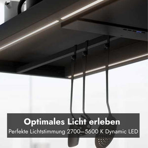 Falmec Europa 175 Black Inselhaube