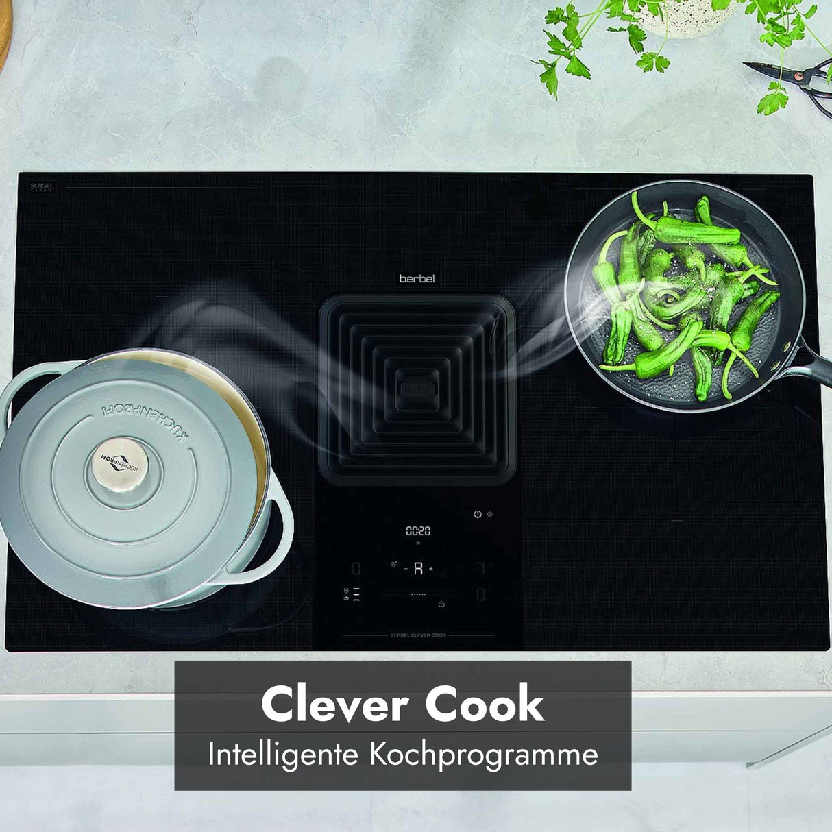 Berbel Downline Advance