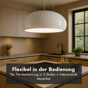 Elica Seashell Inselhaube